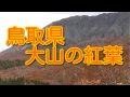 紅葉を撮影しました２ (鳥取県 大山)